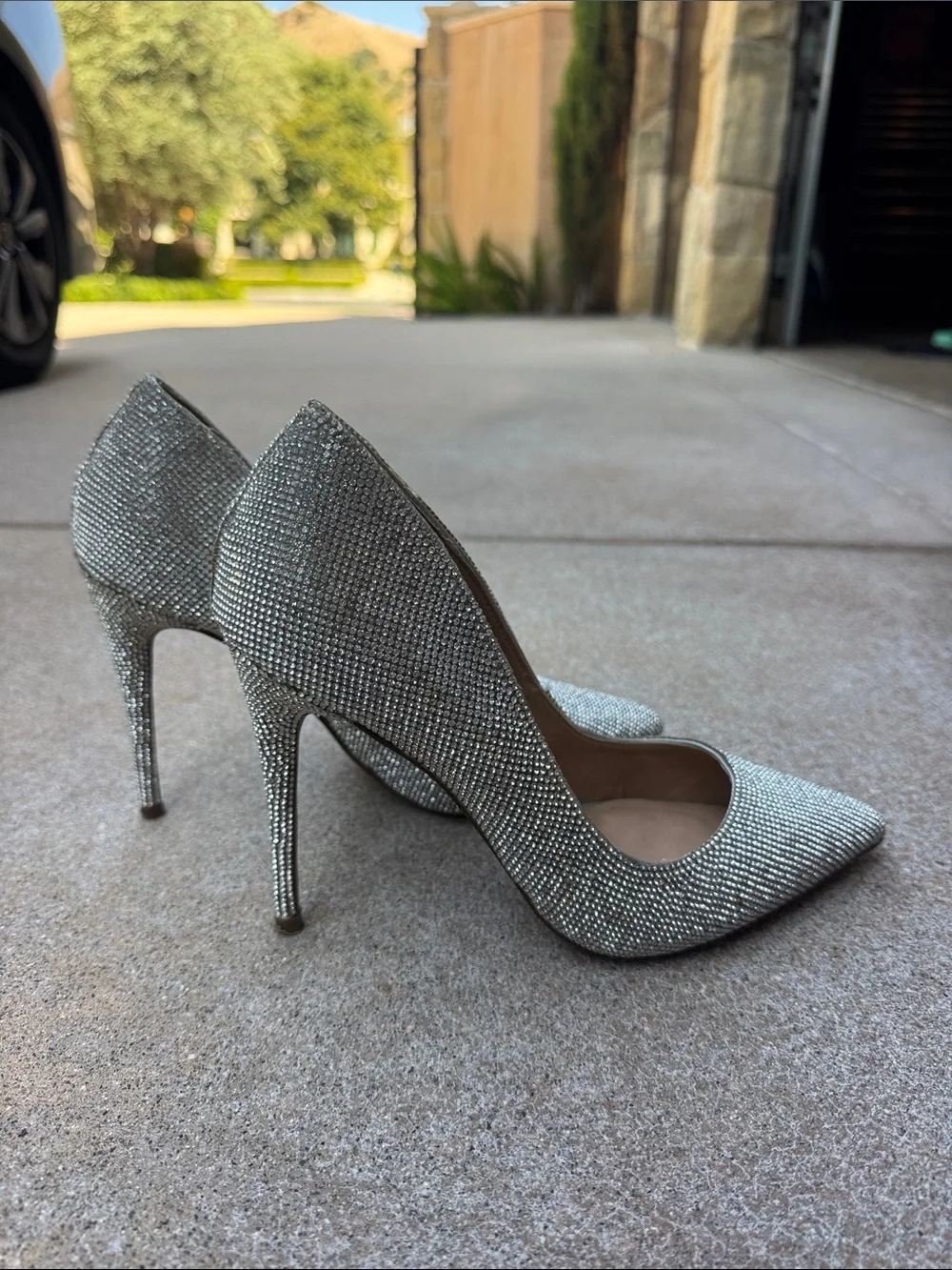 Steve Madden Daisie Silver Crystal Embellished Pointed-Toe Pump